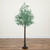 Pre-Lit Artificial Olive Tree - 5' - Warm White LED Lights - IMAGE 1