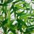 Potted Bamboo Artificial Tree - 12' - Green - IMAGE 6