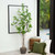 Artificial Dogwood Potted Tree - 6' - Green and White - IMAGE 1