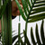 Artificial Potted Paradise Palm Tree - 10' - Green