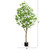 Artificial Greco Citrus  Potted Tree - 7' - IMAGE 6