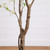 Deluxe Cherry Blossom Artificial Potted Tree - 6' - White - IMAGE 5