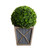 Pre-Lit Boxwood Ball Topiary Outdoor Artificial Plant in Planter - 18" - IMAGE 2