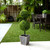 Potted Double Ball Boxwood Artificial Topiary Tree - 3' - Clear LED Lights - IMAGE 1