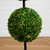 Potted Double Ball Boxwood Artificial Topiary Tree - 3' - Clear LED Lights