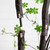 Potted Minimalist Enkianthus Artificial Tree - 10' - IMAGE 5