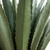 Large Agave Artificial Plant - 6' - Green