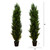 Cedar Pine Artificial Topiary Tree - 4' - Green - Set of 2 - IMAGE 4