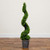 Pre-Lit Boxwood Spiral Artificial Topiary Plant - 3.75' - Clear LED Lights - IMAGE 3