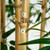 Bamboo Artificial Potted Tree - 9' - Green - IMAGE 6