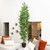Potted Bamboo Artificial Tree - 11' - Green - IMAGE 1