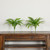 Boston Fern Artificial Plant - 19" - Set of 2 - IMAGE 1