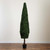 Potted Boxwood Topiary Outdoor Artificial Cone Tree - 8' - Green - IMAGE 3