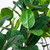Audrey Ficus Leaf Artificial Potted Tree - 6' - IMAGE 6