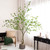 Potted Citrus Artificial Tree - 10' - Unlit - IMAGE 1