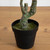 Potted Citrus Artificial Tree - 10' - Unlit