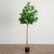 Audrey Ficus Artificial Potted Tree - 6' - Unlit - IMAGE 3