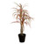 Dracaena Marginata Artificial Plant - 2' - Pink and Green - IMAGE 2