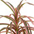 Dracaena Marginata Artificial Plant - 2' - Pink and Green - IMAGE 5