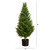 Rosemary Cone Artificial Potted Topiary Tree - 3' - Green and Pink - IMAGE 3