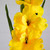 Gladiolus Floral Artificial Stem Sprays - 45" - Set of 3 - Yellow - IMAGE 3