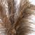 Dried Pampas Artificial Floral Arrangement with Vase - 30" - IMAGE 6