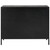 Fixed Shelf 2-Door Cabinet - 40" - Black - IMAGE 3