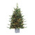 Pre-lit Potted Pine Medium Artificial Christmas Tree - 3’ - Clear Lights - IMAGE 1