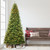 Pre-lit Medium Berkshire Fir Artificial Christmas Tree - 10’ - Clear Lights - IMAGE 2