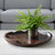 Teak Wood Round Accent Bowl - 20" - Brown - IMAGE 2