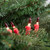 Mini Christmas Light Set - Clear with Red Tips - 20.25' Red Wire - 100ct - IMAGE 2