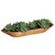 Echeveria Succulents with Bowl Centerpiece - 27" - Green and Brown - IMAGE 4