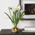 Daffodils Artificial Floral Arrangements with Glass Vase - 17" - White and Green - IMAGE 2