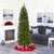 7’ Pre-Lit Slim Green Mountain Pine Artificial Christmas Tree, Clear LED Lights