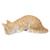 11.25" Tabby Cat Looking Over Ledge Figurine - IMAGE 5
