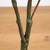 Sumac Artificial Potted Tree - 4' - Orange and Green - IMAGE 6