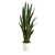Artificial Sansevieria Potted Plant - 4' - Green - IMAGE 2