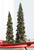 Set of 2 Glittered Tree with Berry and Pinecone Christmas Tabletop Decor 19.5" - IMAGE 2