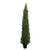 Boxwood Topiary Potted Artificial Tree - 8' - IMAGE 2