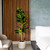 Potted Artificial Fiddle Leaf Tree - 5' - IMAGE 4