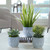 Succulent and Grass Centerpiece with Ceramic Pot - 22" - Set of 3 - IMAGE 1