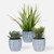 Succulent and Grass Centerpiece with Ceramic Pot - 22" - Set of 3 - IMAGE 2