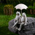 Sitting Couple Frogs with Umbrella Outdoor Garden Statue - 9" - IMAGE 1
