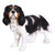 Standing King Charles Spaniel Outdoor Garden Statue - 16.5" - IMAGE 5