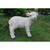 Standing Lamb Outdoor Garden Statue - 20" - IMAGE 5