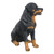 20.75" Sitting Rottweiler Dog Outdoor Garden Statue - IMAGE 3