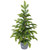 Pine Artificial Christmas Tree in Round Gingham Pot - 28" - Unlit - IMAGE 2