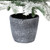 Flocked Pine Potted Artificial Christmas Tree - 28" - Unlit