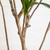 Artificial Dracaena Potted Tree - 6' - Green - IMAGE 5