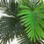 Potted Artificial Coconut Palm Tree - 8'